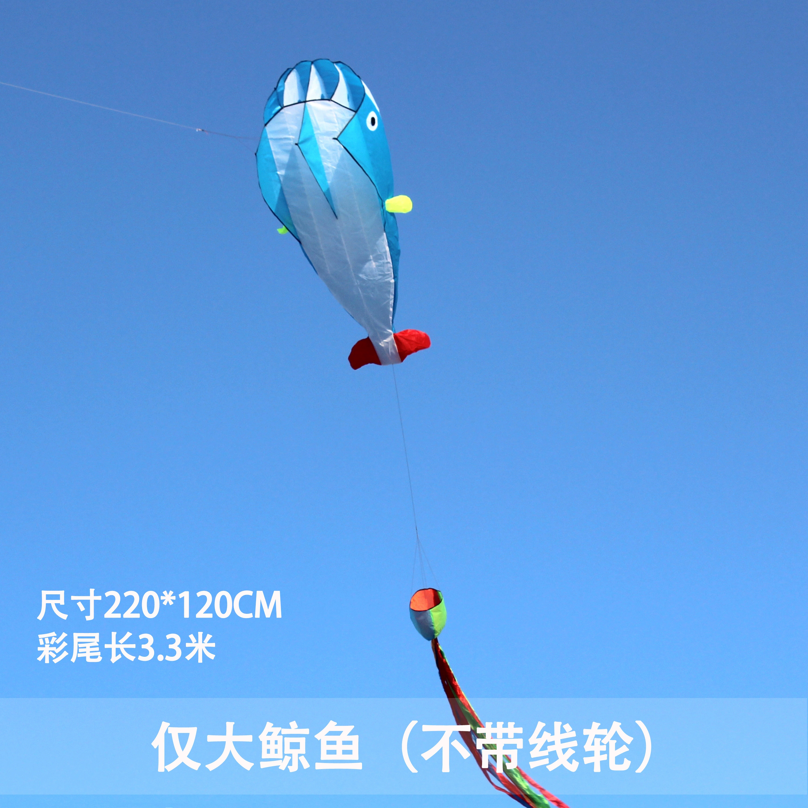 Kite for adults
