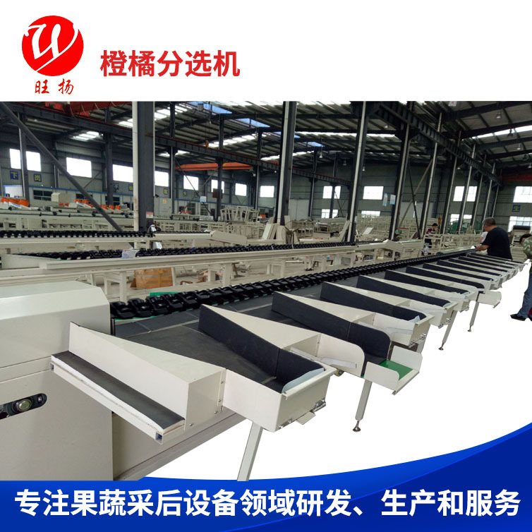 橙橘打蜡机 “旺扬”  水果清洗打蜡机