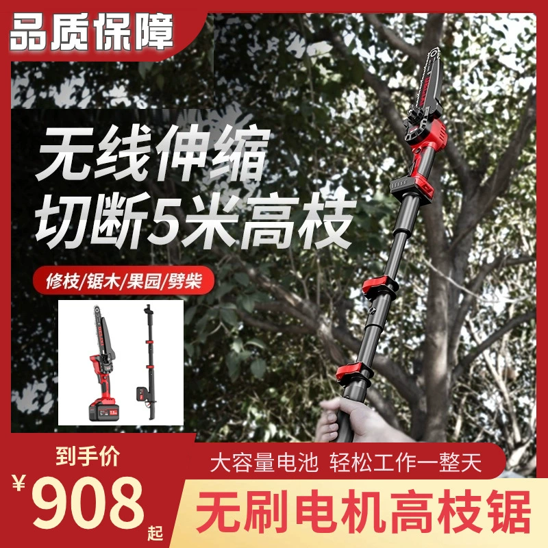 Высокогорный триммер для ветвей, телескопическое удлинение, высокогорная садовая обрезка с длинной ручкой, обрезка, резка, литиевая батарея, пила для высоких ветвей