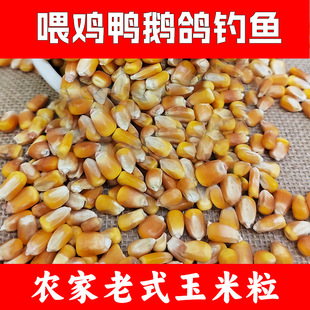 ι�uι���Z�����Bֳ����r�Ҹ���������ʽ�s�Z�������lι�iһ�ٽ�