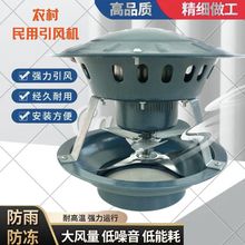 ßLCşCͨLʟͲ𿻠tLC