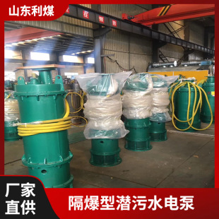 BQS60-60-22������ɳ��ˮ늱� ����BQW�V�ø��������۝�ˮ��