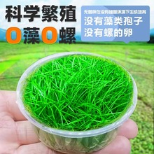 ����ţëˮ���~�׌����쾰��ƺ��Ƥǰ�����������ذ��������ֲ��