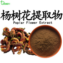 杨树花提取物10:1比例提取杨树花浓缩粉喷雾干燥现货包邮杨树花粉