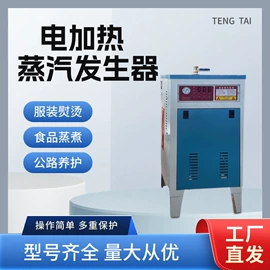 蒸汽发生器;电热锅炉;燃生物质锅炉