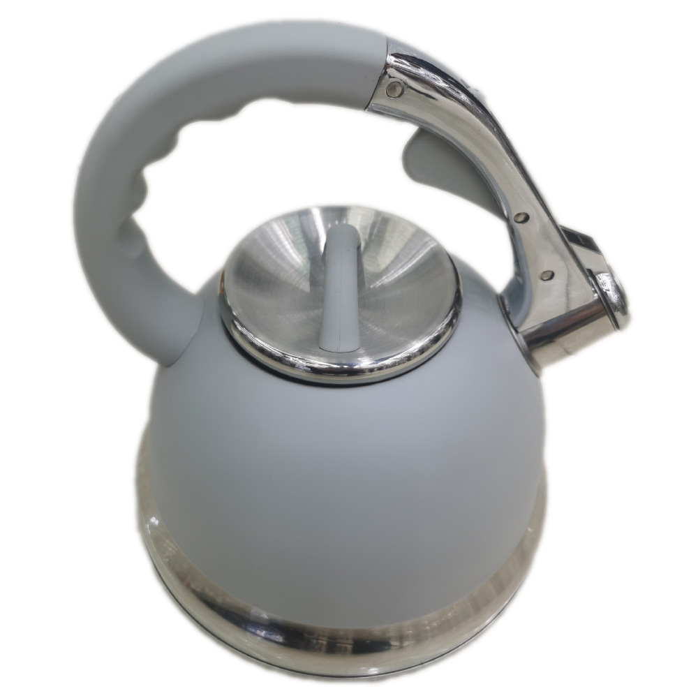 Hervidor de Agua Silbante de Acero Inoxidable 201 con Silbato para el Hogar