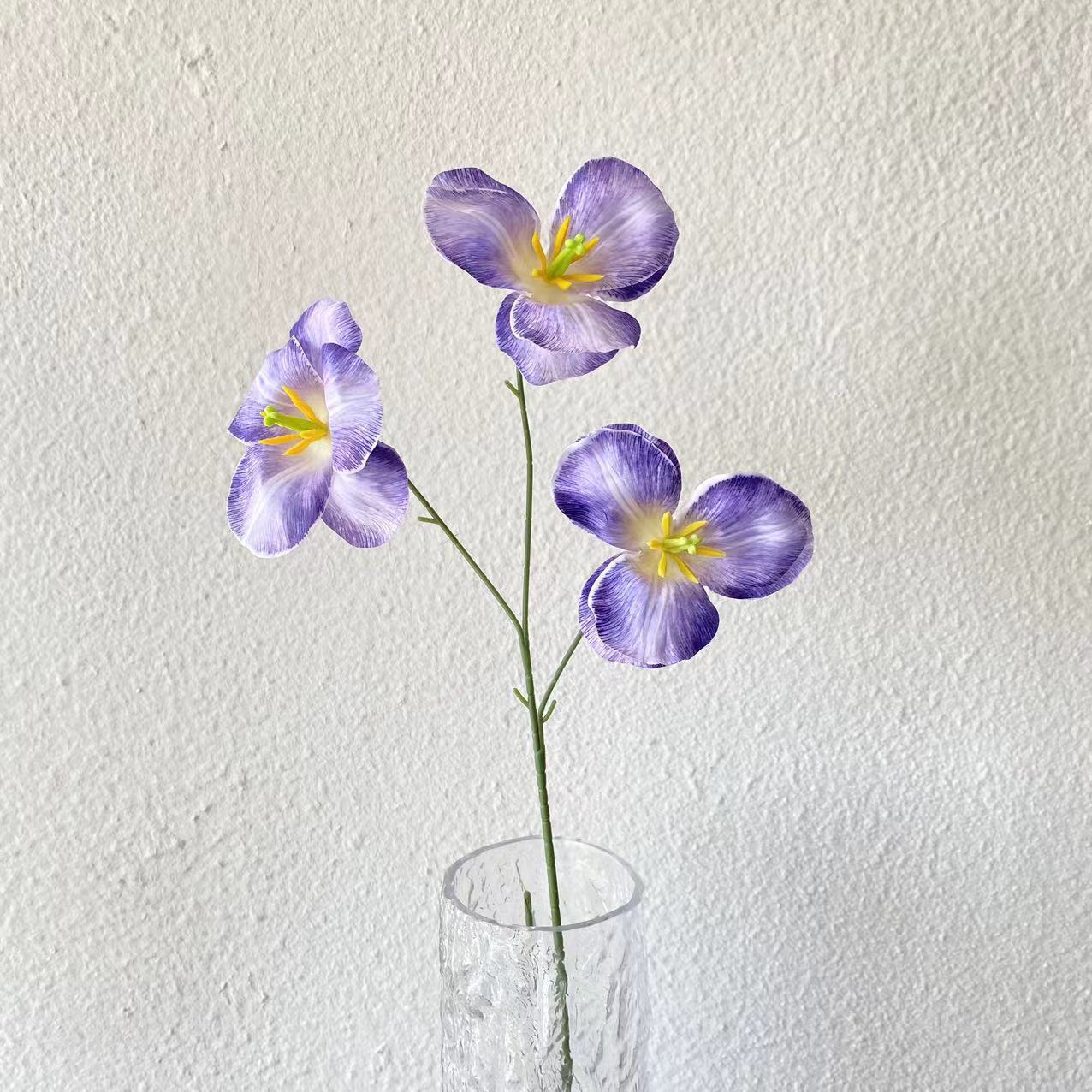 Tulipanes con tres pétalos volteados morados