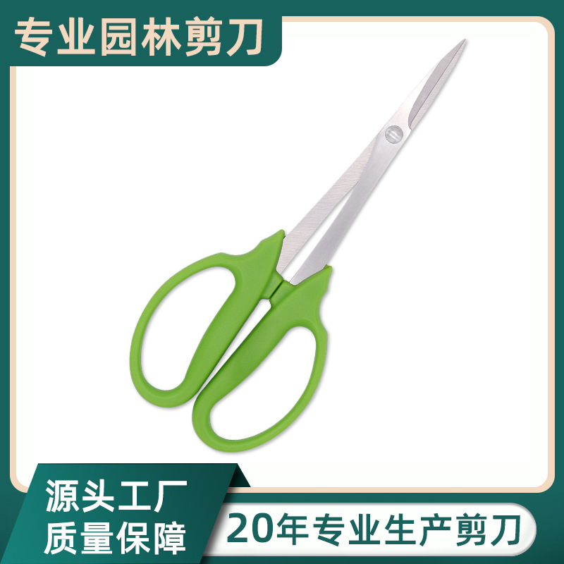 不锈钢叶芽剪子园林修枝剪叶芽剪园艺盆景修剪工具稀果采摘剪刀