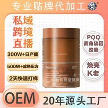 OEM�羳EGT�zԭ�������������z�� �����w��������˥���z�Ҵ��ӹ�