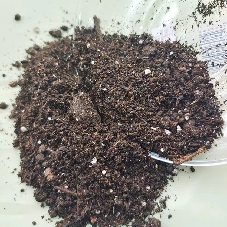 Supply nutrient soil peat moss for flowers planting orchids succulents soil nursery organic soil substrate wholesale