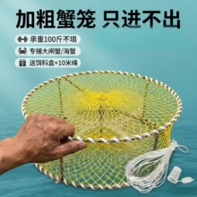 �̶��Ӵ��з�\��߅ץ�з���~�S�X�\���ò��~�O�W��з�����r�\