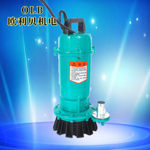 潜水泵220v高扬程农用灌溉大流量污水泵小型不锈钢地下室排污泵