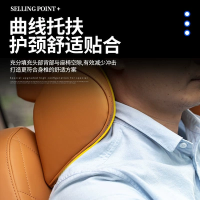 for the driver and passenger seats — Car roof lining