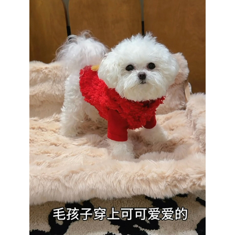 Ropa de mascotas de invierno de Navidad lindas estrellas chaleco de peluche con capuzas perros gatos festivos vestido de Año Nuevo rojo