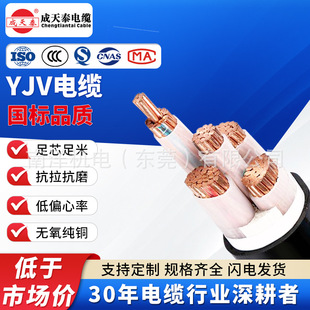 YJV/YJV22 3+1 3+2о1.5-630ƽ�����~о�͉������|����̩��|��