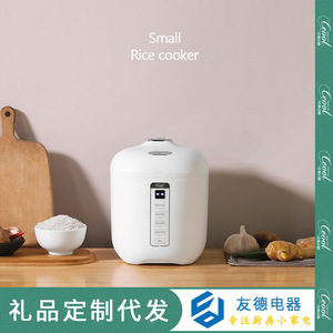 CEOOL 迷你电饭煲智能预约多功能家用小型电饭锅批发 rice cooker