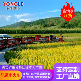 Outdoor net red scenic spot sightseeing track small train amusement equipment park electric steam rail train can sit people