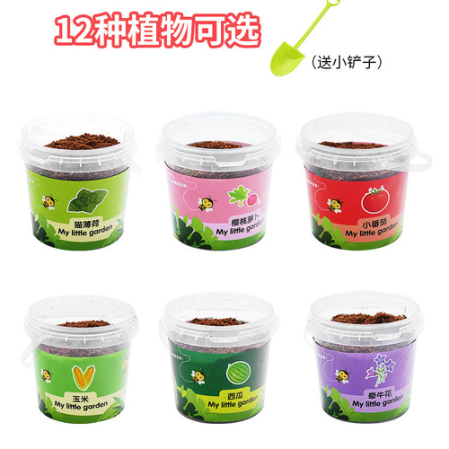 Factory Wholesale DIY Handmade Science Experiment Planting Student Kindergarten Toys Gift Planting Fruits and Vegetables