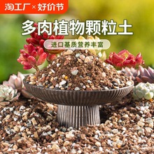 ����I�B���w�����÷Nֲ�������B��ͨ������̿�������ʯǤ��ֲ��