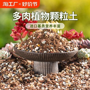 ����I�B���w�����÷Nֲ�������B��ͨ������̿�������ʯǤ��ֲ��