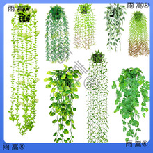 �羳�ȼ�������~�ٗl�����_�㶹�Ғ��bGֲĥɰ��