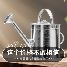 洒水壶镀锌防锈防漏加厚大容量浇花浇菜花洒壶洒水喷水家用浇水桶