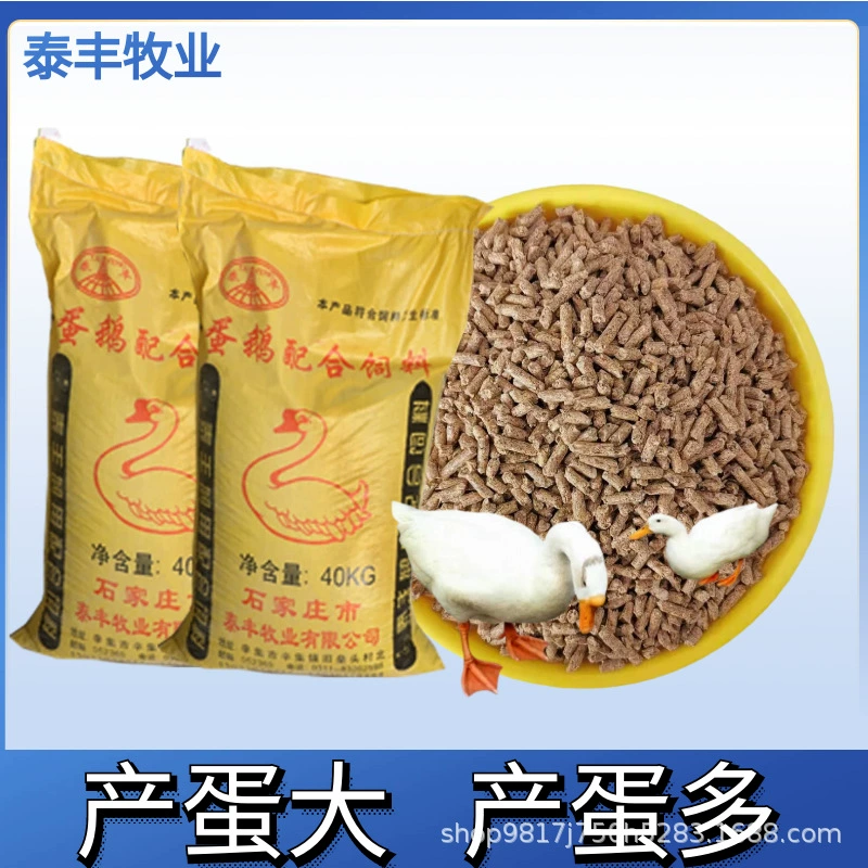 Корм для яиц с высоким урожаем