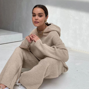 2025 Amazon European and American Foreign Trade Leisure Women's suit Solid Color Hooded Loose Sweat and Elapor Pants Two-Piece Set