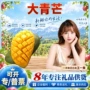 越南新鲜400g青皮水果