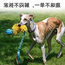 Ӗ�����ӑ����K��ĥ��ʳ��κ��ˌ��L��߲؏������ӹ��������ĥ