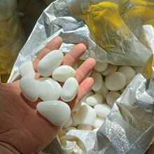 天然白色鹅卵石造景雨花石庭院阳台铺路纯白色石头鱼缸石抛光园林