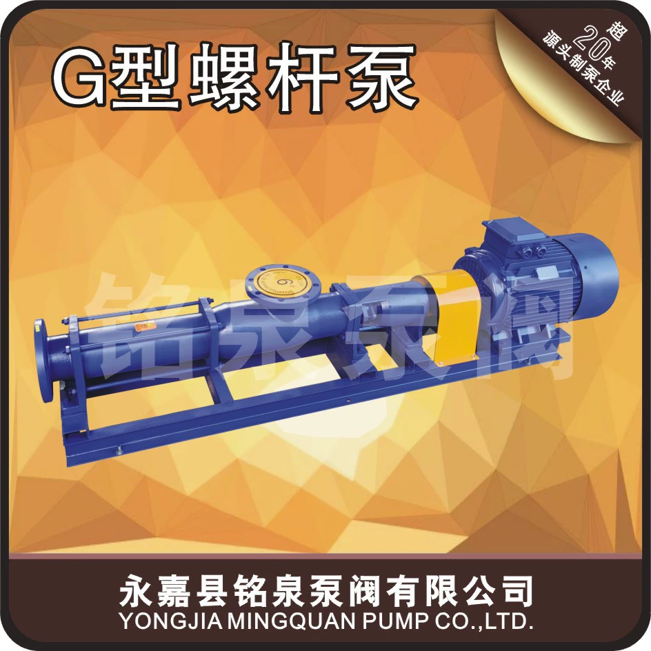 G20-2 Шнековый насос для дозирования и перекачки сточных вод и ила, усилитель для защиты окружающей среды, насос для прессовой фильтрации