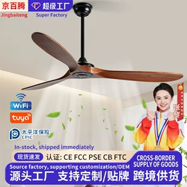 风扇灯;吊灯;吊扇