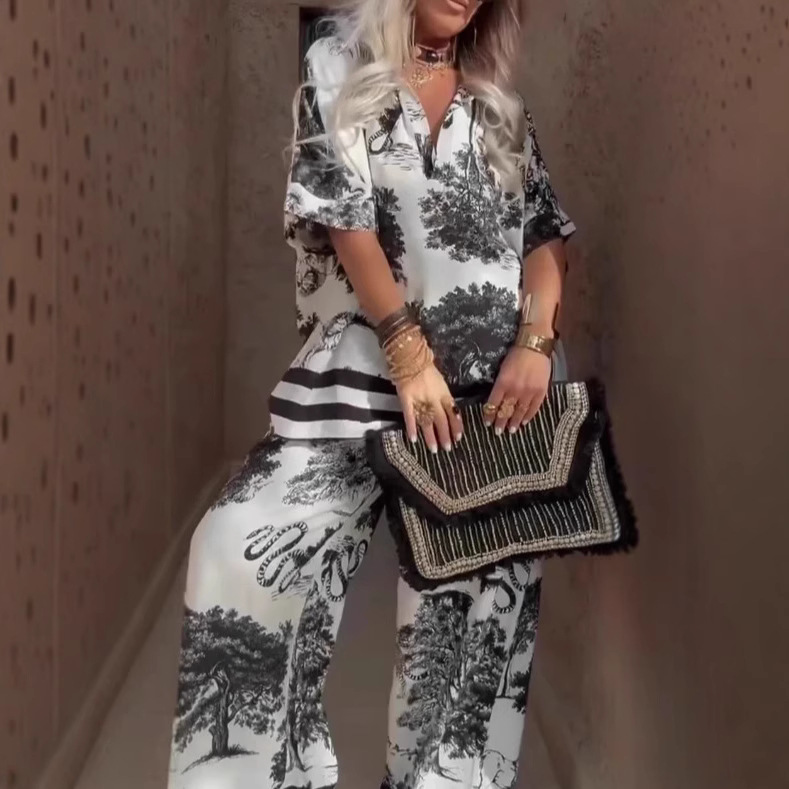 2026 European And American Style Cross-Border Independent Station Casual V-Neck Printed Short Sleeve Top Loose Wide-Leg_ecoleips.com