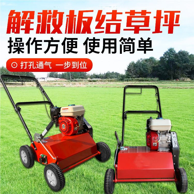 汽油草坪梳草机  草皮坪梳草养护机 手推草地枯草打理机