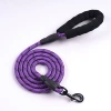 Full handle (purple B)