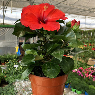 ���ȷ�ɣ�����Դ��玧����ľ�ȷ����Ї��Nޱ�҃�ͥԺ�̨�͟��ͺ�