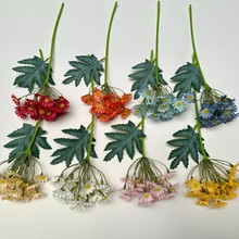 ʾ5^Сrղ˹ջc·׼ٻҾӔzӰb