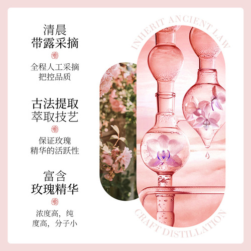Aviya Damascus Rose Toner 500ml Hydrating and Moisturizing Rose Essence Water Manufacturer Wholesale