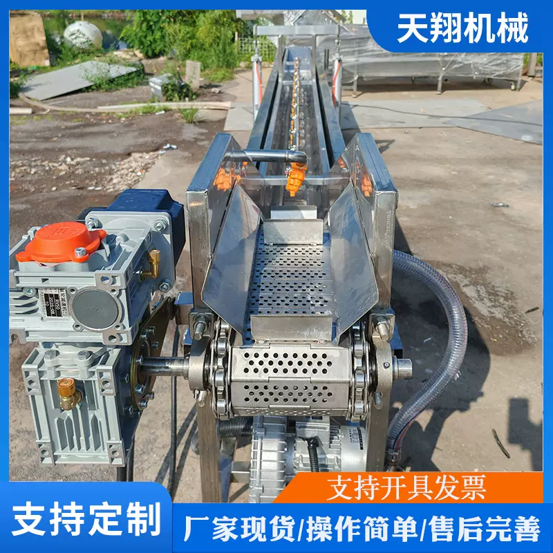 链板式漂烫机毛豆风 叶类果蔬漂烫杀青设备链板式芹菜清洗漂烫机