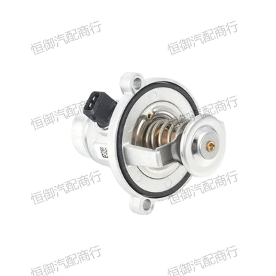 Thermostat 11530150976 Suitable