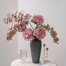 һ����}���滨���Ǿ��^�ָб�������m�ٻ��Gֲ���b�ƷMW31009