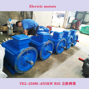 ���ԃ���B35늙CYE2-315L1-4/160kw 400v ���� IE2 IE3늄әC