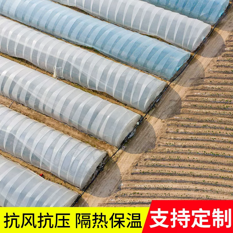 农作物种植棚单体大棚外遮阳保温简易养殖薄膜连栋大棚温室大棚