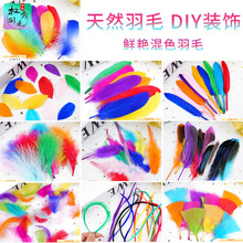 厂家供应天然彩色鲜艳羽毛DIY工艺品装饰羽毛服饰配件波波球装饰