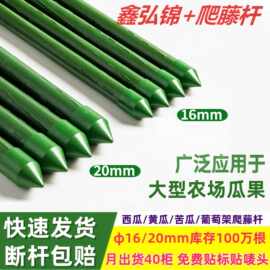 批发包塑钢管植物花支撑架葡萄黄瓜爬藤杆农场庭院花架阳台爬藤架