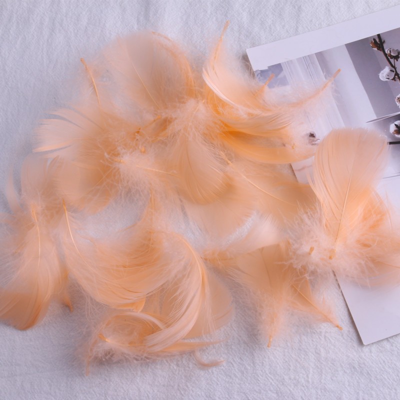 딥 샴페인 (100 PC)