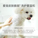 Dog shower gel to remove smell lasting fragrance than bear teddy cat bath shampoo pet store supplies