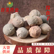 没食子批发 墨食子 无食子 当季新货 产地货源 量大从优