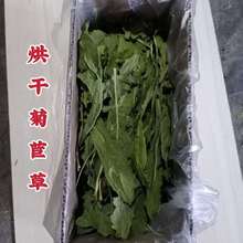 �º�ɾ��Ĳݸɲ� ������؈���m�i����Z ���Ĳ�